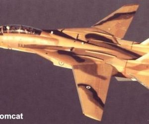 F-14 Tomcat