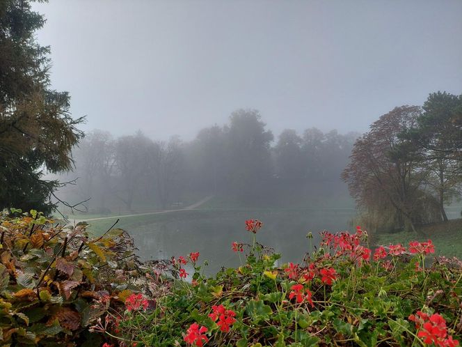 Zamojski Park jesienią