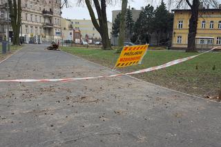 W parku na Pl. Kościuszki przygotowania do nowego sezonu