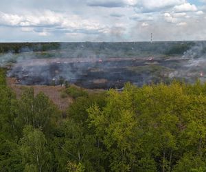 Wołomin: Płonie Natura 2000. Dym widać z wielu kilometrów