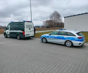 Akcja ITD i policji na obwodnicy Wąbrzeźna. Kierowca wpadł jak śliwka w kompot