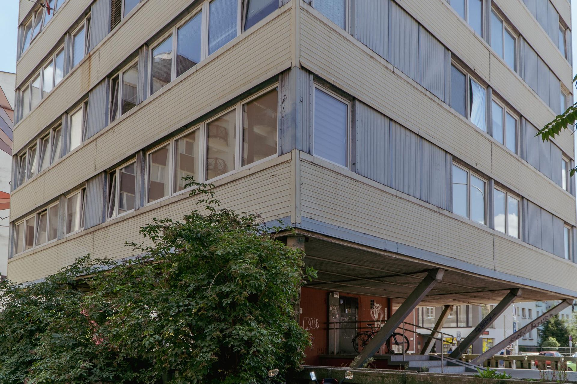 Trzonolinowiec we Wrocławiu