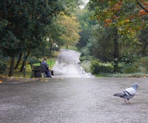 Ogród Saski w Lublinie w jesiennej odsłonie