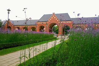 Tysiące wyjątkowych kwiatów ozdobiły największy cmentarz w Polsce
