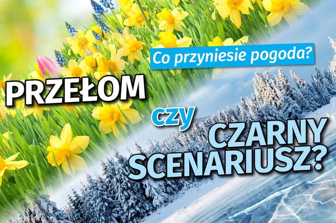 Kiedy PRZEŁOM w pogodzie? Mróz może zelżeć, choć w grę wchodzi CZARNY SCENARIUSZ [PROGNOZA]