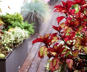 Balkon i taras na początku jesieni