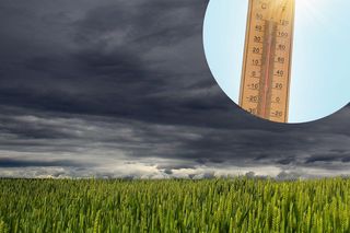 Pogoda dla Torunia. Kiedy wrócą upały? Ta data jest najważniejsza