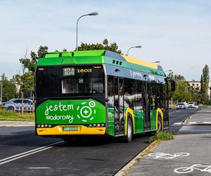 Ambitny plan MPK Poznań. Co trzeci autobus ma być zeroemisyjny. Jesteśmy dumni