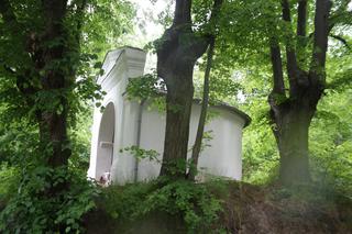 Polskie wojsko wkroczyło do Czech