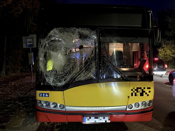 Wiązowna. Zderzenie autobusu z sarną 