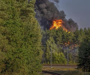 Pożar wagonów Orlenu