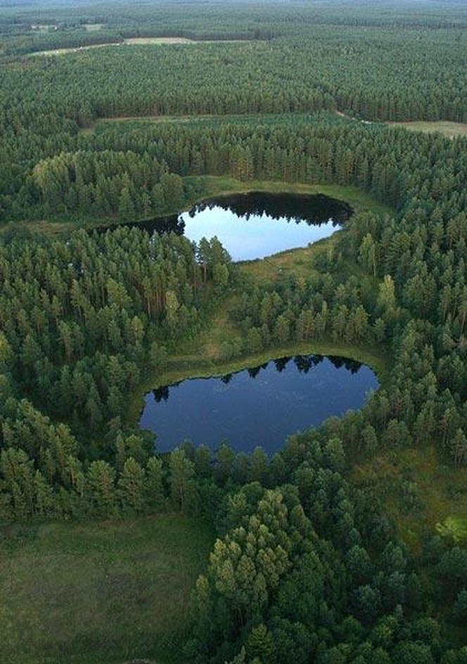 Wigierski Park Narodowy. To bezcenny obszar podlaskiej natury