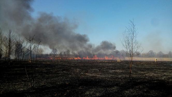 Potężny pożar na Śląsku! Strażacy kilka godzin walczyli z ogniem