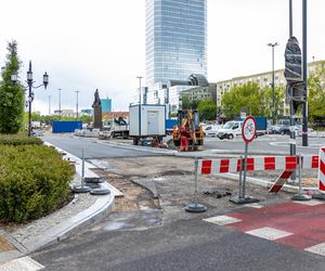 Sadzenie zieleni na placu Bankowym w maju 2025 r.