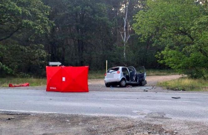 Śmiertelny wypadek na DK 12 pod Piotrkowem Tryb. Kierujący chevroletem wjechał pod tira [ZDJĘCIA]