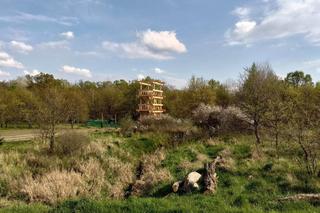 Wieża w parku kosztowała 350 tys. złotych, stała się pośmiewiskiem. Służy do obserwacji