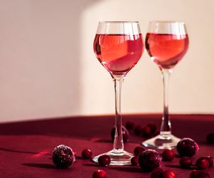 Nalewka z suszonej żurawiny - esencjonalny trunek na chłodne wieczory