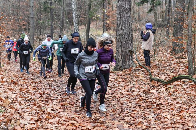 Katowicki City Trail jak zwykle ze znakomitymi biegaczami i biegaczkami. Zobacz zdjęcia ze sportowej imprezy