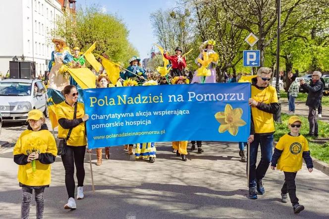 Za nami barwna Żonkilowa Parada. Tak wyglądał Finał Pól Nadziei na Pomorzu 2024