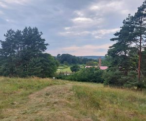 Akcja na polu, gdzie znaleziono Wampirkę z Pnia. Młodzi chodzili z detektorami, niedługo wracają tam archeolodzy