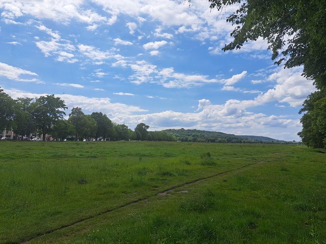 Błonia w Krakowie