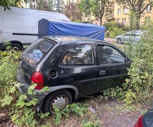 Kaczki uwięzione w blaszanej pułapce