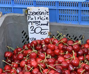  Ceny nowalijek na warszawskich bazarach szokują. Byliśmy i sprawdziliśmy ile trzeba zapłacić