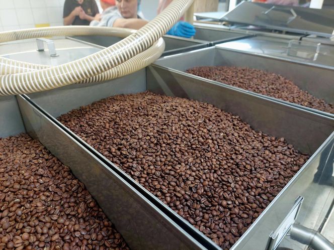 Cukiernia Sowa, linia produkcyjna