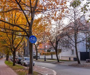 Kolonia profesorska w Warszawie