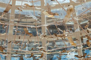 Szklana instalacja w Dubaju autorstwa Edyty Barańskiej