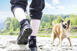 Mandaty, o których istnieniu możesz nie wiedzieć 