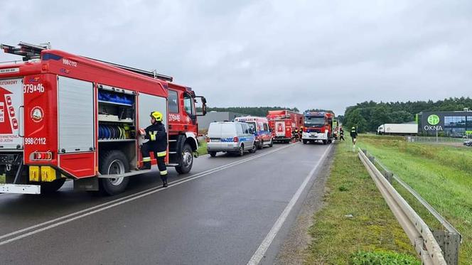 Skwierzyna. Makabryczny wypadek! Rowerzysta zginął pod kołami tira [ZDJĘCIA]