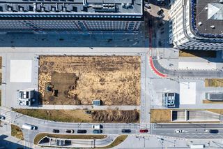 Zielona oaza na placu Powstańców Warszawy