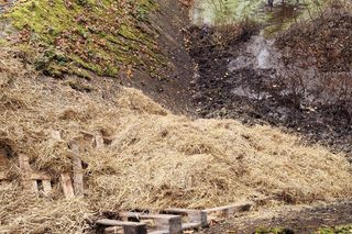 Klępa wpadła do basenu. Niecodzienna akcja ratunkowa w Wilczym Szańcu