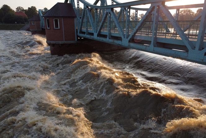 Powódź we Wrocławiu. Tak wygląda Odra w czwartek 19.09.2024 