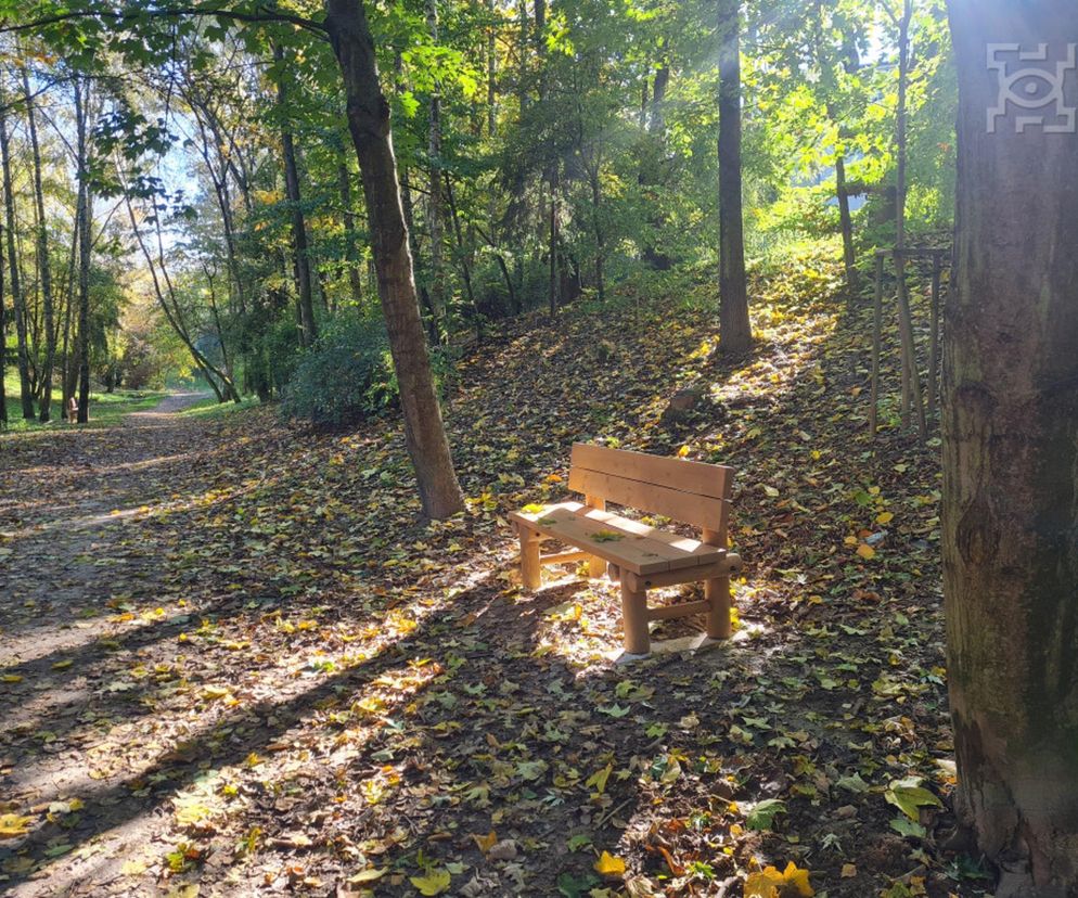 Lublin - Wąwóz Pokolenia na LSM zaprasza po zmianach