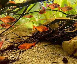 Rozmawiamy z Tomaszem Wiśniewskim, założycielem Aqua Dreams Bydgoszcz