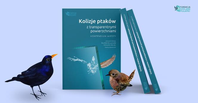 Kompendium „Kolizje ptaków z transparentnymi powierzchniami” do pobrania za darmo!
