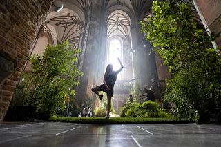 Wystawa LeŚnia w Centrum św. Jana w Gdańsku