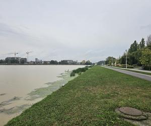 Wysoka woda na Wisłoku po ulewach