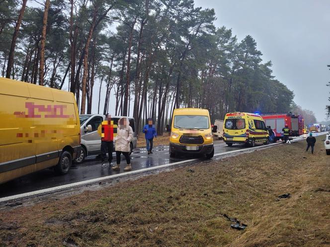 Potężny karambol na DK nr 15 pod Toruniem. Zdjęcia z miejsca wypadku