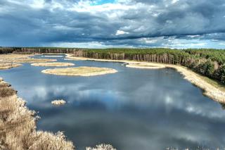 Cud natury ukryty w lesie. 9 wysp na jeziorze niedaleko Świebodzina