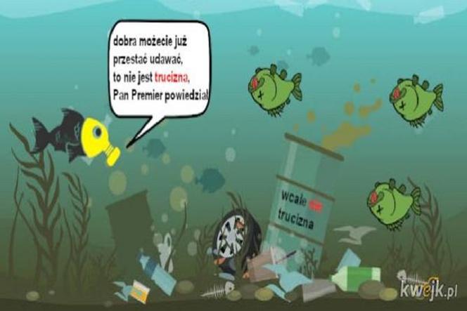 Zatruta Odra. Internauci komentują reakcje rządu [MEMY] 