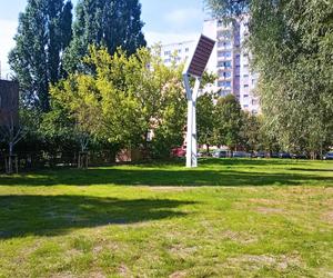 Psie Pole zmieniło się w osiedlowy park