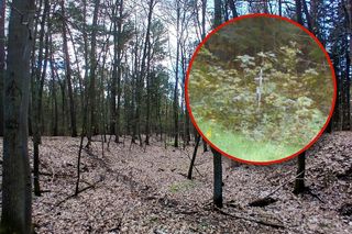 Zgwałcił i zabił bezbronną 13-latkę. Przez wiele lat żyli z potworem pod jednym dachem