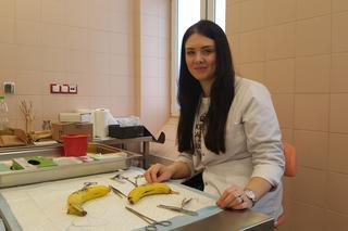 Drzwi Otwarte w Collegium Medicum UMK