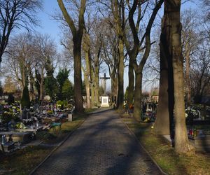 Cmentarz ewangelicki w Siemianowicach Śląskich