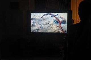 Wampirka z Pnia, czyli Zosia. Tak wyglądała