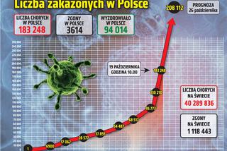 Koronawirus w Polsce. Statystyki, wykresy, grafiki (19 października)