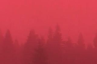 Tajemnicza różowa mgła w czeskich górach. Co to za niezwykłe zjawisko? 